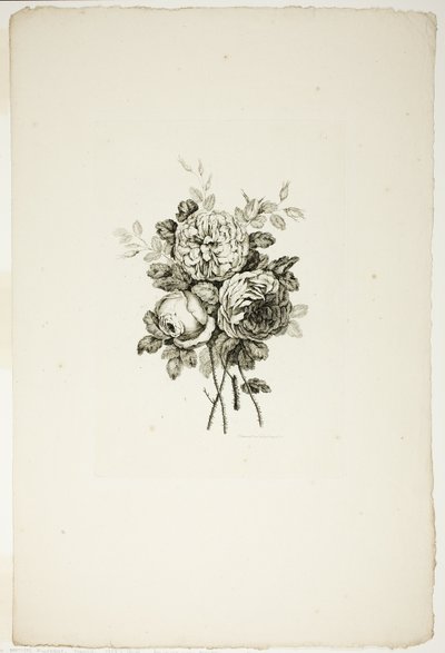 Bukett med rosor, från samling av olika buketter av blommor, uppfunnen och ritad av Jean Pillement och graverad av P. C. Canot av Pierre Charles Canot