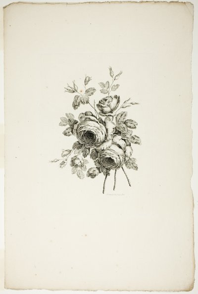 Bukett med rosor, från samling av olika buketter av blommor, uppfunnen och ritad av Jean Pillement och graverad av P. C. Canot av Pierre Charles Canot