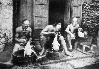 Kinesiska ankfjädrar, "" Saigon och dess omgivningar", foto. Dieulefils, c. 1900. av Pierre Dieulefils