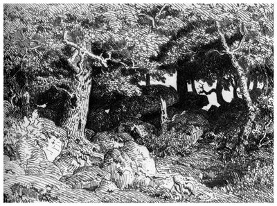 Chenes de Roche, c1832-1860, 1924 av Pierre Etienne Theodore Rousseau
