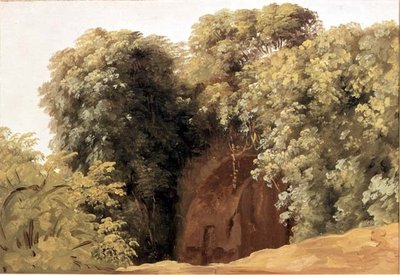 Ruinerna av en arkad med gräskluster av Pierre Henri de Valenciennes