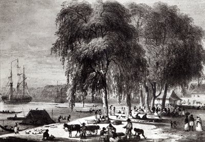 Fiskmarknad, Paramribo, från "Voyage a Surinam" av Pierre J. (after) Benoit