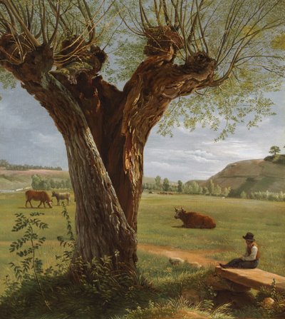 Pollard Willow av Pierre-Jean Boquet