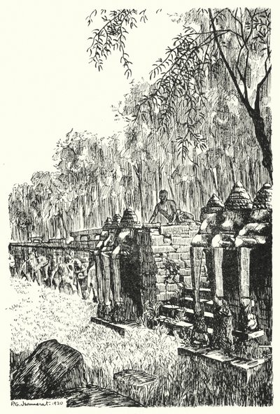 Sidoperron av Elephants