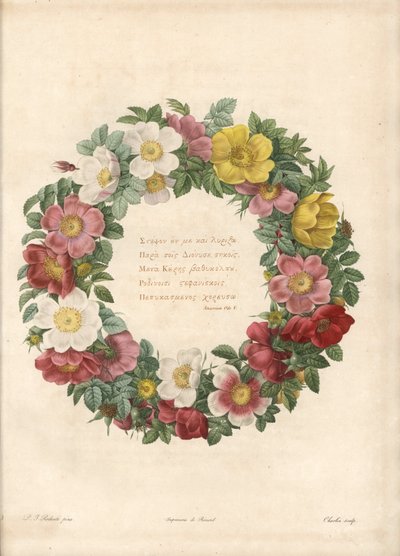 Krona av rosor med ett grekiskt motto - Eau forte av Charlin, efter en illustration av Pierre Joseph Redoute (1759-1840), från Les Roses av Pierre Joseph Redouté