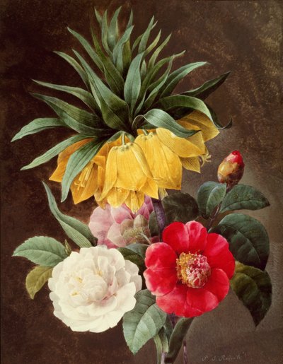 Exotiska blommor av Pierre Joseph Redouté