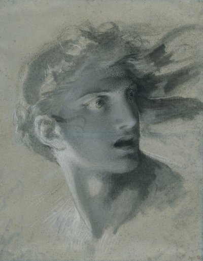 Head of Vengeance, c.1804 av Pierre Paul Prudhon
