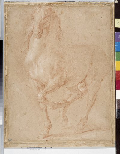 Häststudier (sangvinisk) av Pierre Puget