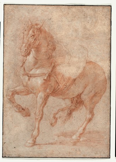 Studie av Bucephalus för reliefen "Alexander och Diogenes" av Pierre Puget