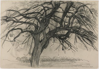 Preliminär studie för kvällen: Det röda trädet, 1908 (svart krita och kol på papper) av Piet Mondrian
