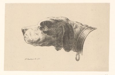 Hundhuvud med halsband av Pieter Bartholomeusz. Barbiers