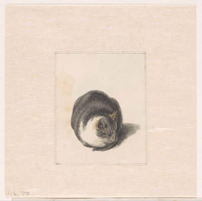 Sittande katt, sedd framifrån av Pieter Bartholomeusz. Barbiers