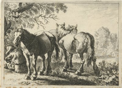 Tre hästar och en bonde Olika djur (serietitel) av Pieter Bodding van Laer
