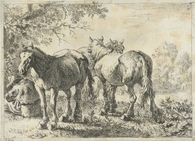 Tre hästar och en bonde Olika djur (serietitel) av Pieter Bodding van Laer