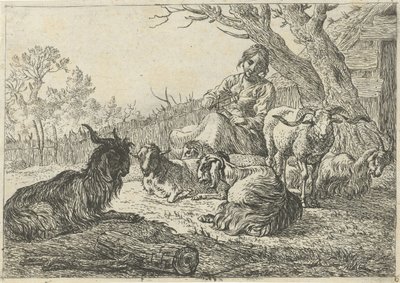 Herdinna mitt bland getter och får Olika djur (serietitel) av Pieter Bodding van Laer