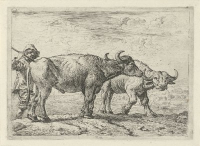 Två bufflar och en herde Olika djur (serietitel) av Pieter Bodding van Laer