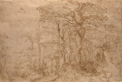 Sylvan landskap med fem björnar av Pieter Bruegel the Elder
