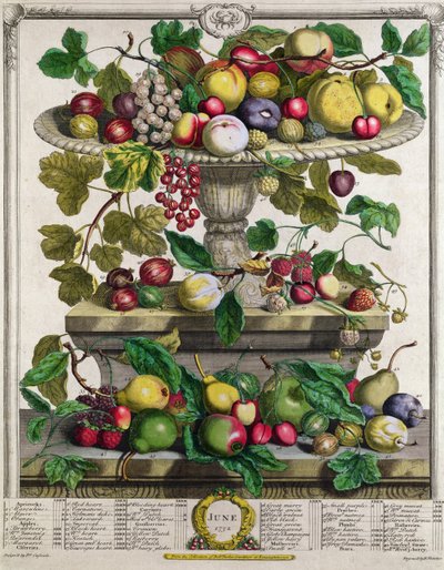Juni, från "Twelve Months of Fruits", av Robert Furber (ca 1674-1756), graverad av Henry Fletcher, 1732 (färggravyr). av Pieter Casteels