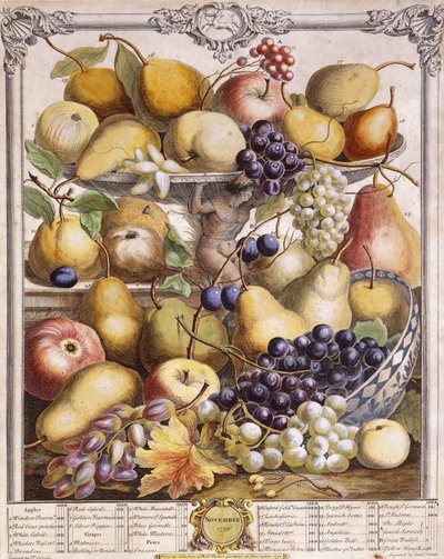 November 1732, visar säsongsbetonade äpplen, päron, vindruvor etc, 1732 av Pieter Casteels
