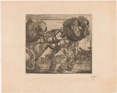 Draghästar vid Seine i Paris L