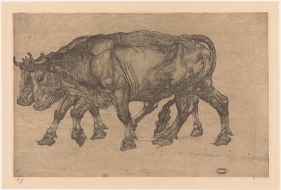 två oxar av Pieter Dupont