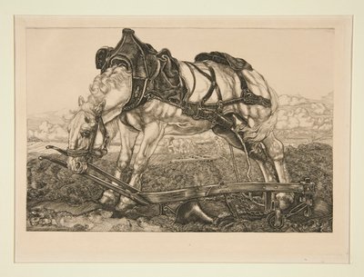 Arbetshäst av Pieter Dupont