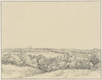 Utsikt över Haarlem, sett från sanddynerna av Pieter Ernst Hendrik Praetorius