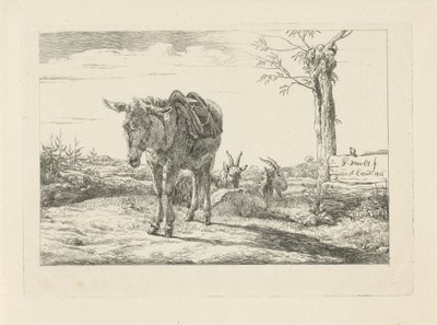 swedish av Pieter Gerardus van Os