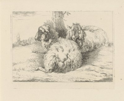 liggande får Får och getter (serietitel) av Pieter Gerardus van Os