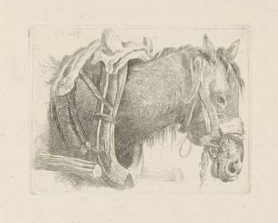 Studie av ett hästhuvud av Pieter Gerardus van Os