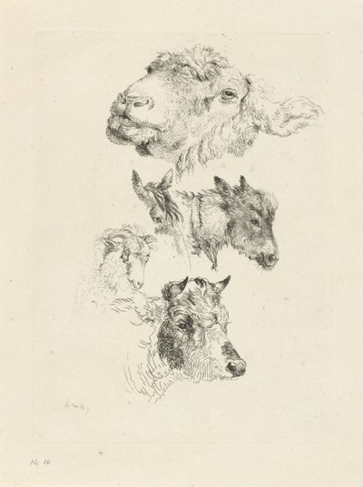 Studieblad med får, häst, åsna, bagge och tjurhuvuden av Pieter Gerardus van Os