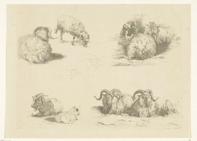 Fyra föreställningar med får och getter Får och getter (serietitel) av Pieter Gerardus van Os