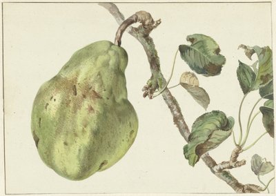 Päron på en gren av Pieter Gevers