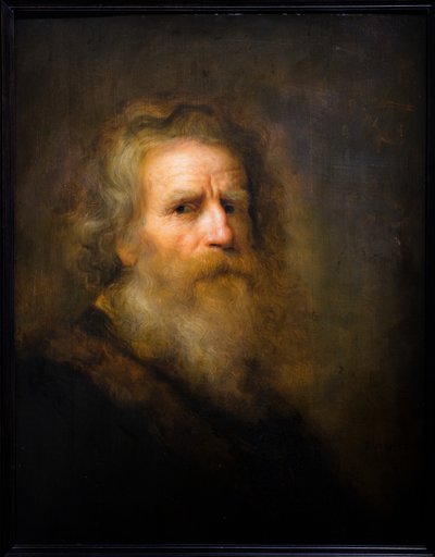 Huvud av en gammal man av Pieter Harmansz Verelst