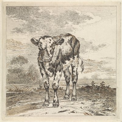 Landskap med kalv av Pieter Janson