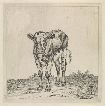 Landskap med kalv av Pieter Janson