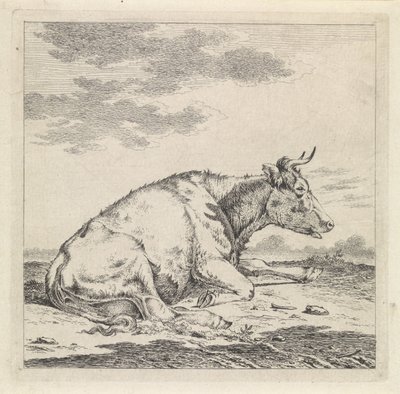Liggande ko, till höger av Pieter Janson