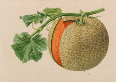Original från trädgårds- och trädodlingspublikationer, 1878-1881. av Pieter Joseph de Pannemaeker