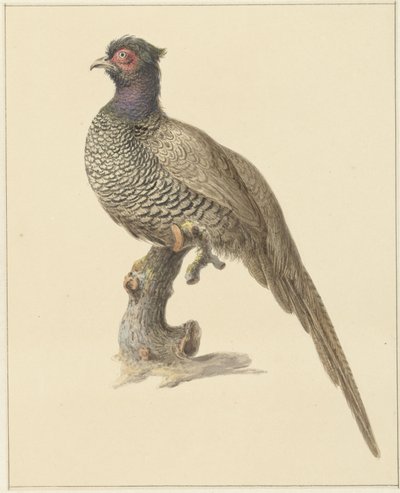 Jagar fasan av Pieter Pietersz. Barbiers