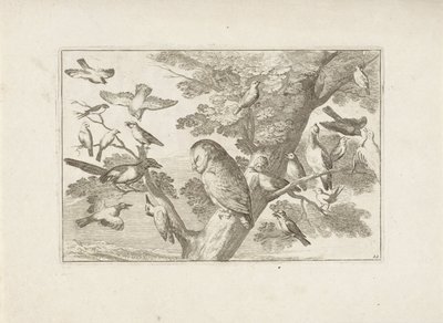 Uil en andra birds in boom Olika fåglar (serietitel) De mest perfekta figurerna av olika fåglar (...) (serietitel) av Pieter Schenk (I) (attributed to)