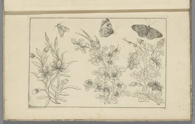 Tre blomgrenar och tre fjärilar Kinesiska blommor och insekter (serietitel) av Pieter Schenk (II)