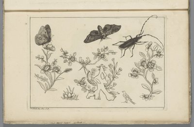 Tre blomgrenar med fåglar, fjärilar och en insekt Kinesiska blommor och insekter (serietitel) av Pieter Schenk (II)