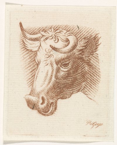 Huvud av en tjur av Pieter de Goeje