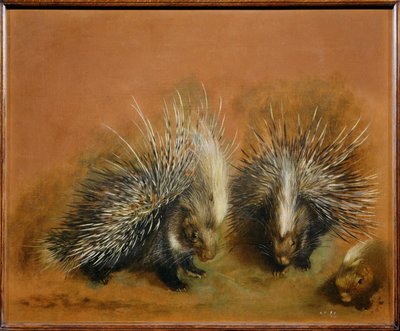 Piggsvin (målning på duk) av Pieter or Peter Boel
