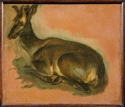 Hjort, liggande (målning på duk) av Pieter or Peter Boel