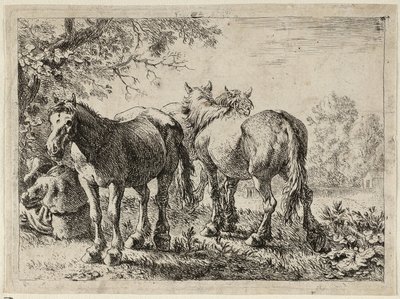 Tre hästar på ett fält av Pieter van Laer