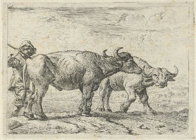 Två bufflar och en boskapsskötare av Pieter van Laer