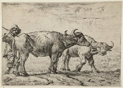 Två bufflar och en boskapsskötare av Pieter van Laer