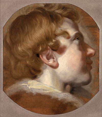 Head of a Young Boy, ca 1620-talet (olja på papper) av Pieter van Mol