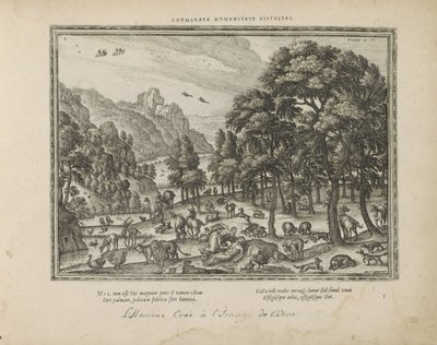 Schepping van de mind Gudomlighet som beskrivs i mänskligheten (titel på objekt) The Sacred Emblems and the Main History of Both Testaments (Oude Testament) (serietitel) Bilder och figurer av böcker (serietitel) av Pieter van der Borcht (I)